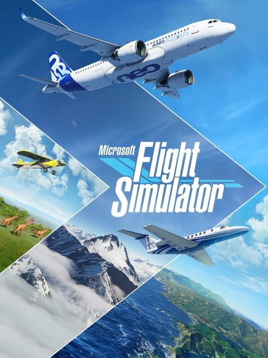 microsoftFlightSimulator