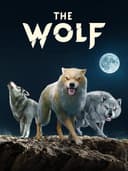 garouCityOfTheWolves