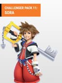 superSmashBrosUltimateChallengerPack11